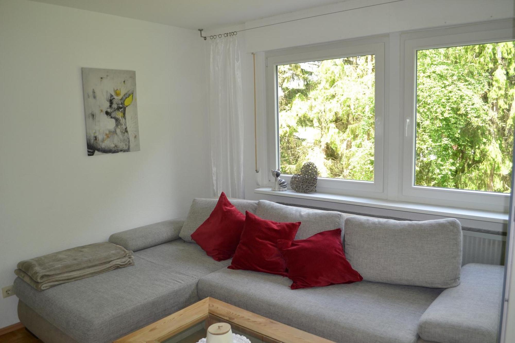 Am Eschachwaeldle Apartman Niedereschach Kültér fotó